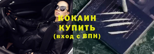 гидра Костерёво