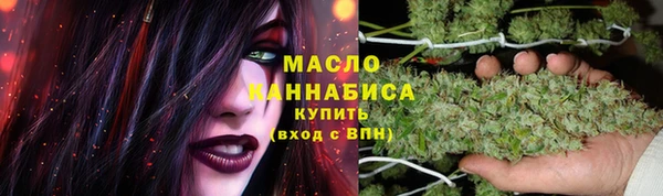 гидра Костерёво