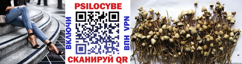 цены наркотик Моршанск Галлюциногенные грибы Psilocybe